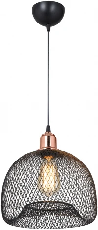 Подвесной светильник TopLight Bryanne TL1603H-01BK