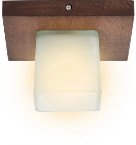 Потолочный светильник прямоугольный Мелодия Света SS1N 000036799