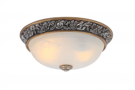 Потолочный светильник Arte Lamp Torta A7142PL-2SB