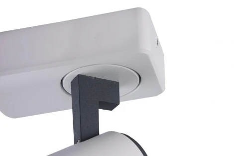 Спот Vele Luce Lexi VL8071S01 (220V, круглые)