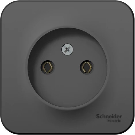 Розетка накладная без заземления (антрацит) Systeme Electric Blanca BLNRA000106