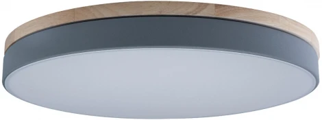 Потолочный светильник круглый Loft IT Axel 10001/36 Grey (LED, 220V, круглые)