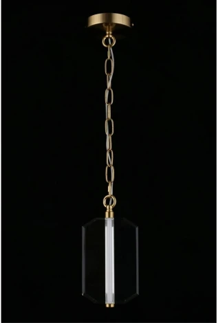 Подвесной светильник LED Aployt Lakres APL.070.06.05 (220V, на цепи)