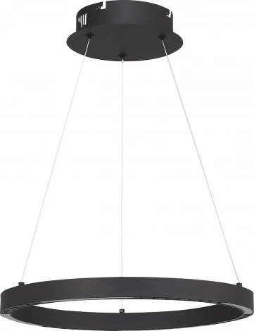 Подвесной светильник ST Luce SL6238 SL6238.423.01 черный/черный LED 1*25W 4000K (220V, на тросе)