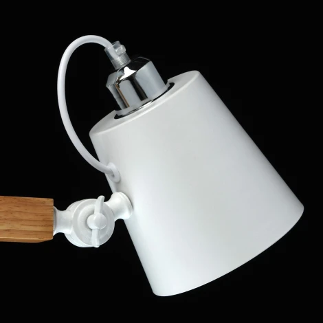 Потолочная люстра MW-Light Форест 693011203