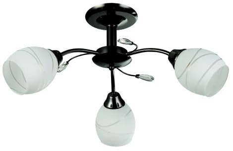 Потолочная люстра Toscom Brum TC-300-203