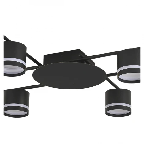 Потолочная люстра Lumion Berty 8362/6C черный, металл/акрил GX53 LED 6*7W 220V BERTY