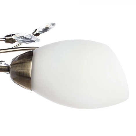 Потолочная люстра Arte Lamp Gardenia A2766PL-5AB