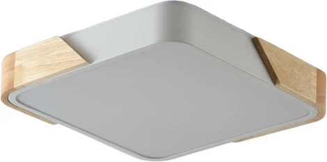 Потолочный светильник Zortes Alberro ZRS.01285.24 (LED, 220V)