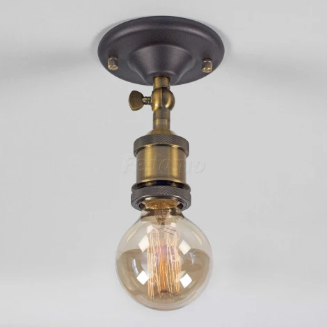 Потолочный светильник круглый Citilux Эдисон CL450500 (220V)