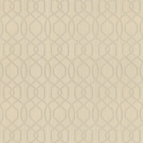 Обои виниловые Rasch Filigrano 964325 10,05 x 1,06 м