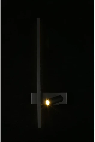 Настенный светильник с выключателем LED со спотом Aployt Reymand APL.342.01.13 (220V)