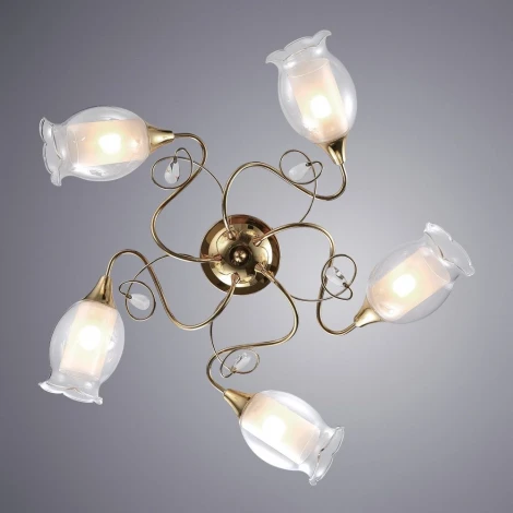 Потолочная люстра Arte Lamp Mughetto A9289PL-5GO
