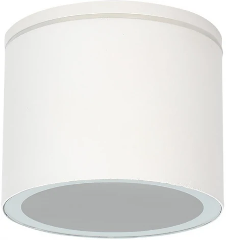 Потолочный светильник уличный Arte Lamp Piautos A1913PF-1WH (220V, круглые, IP54)