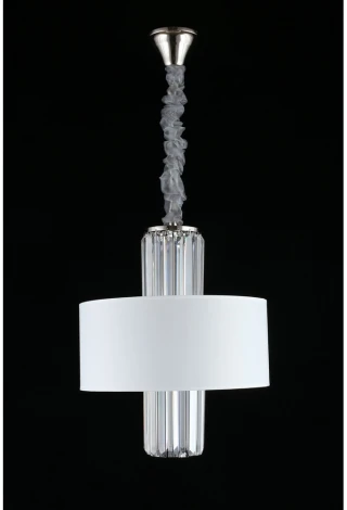 Подвесная люстра Aployt Karola APL.841.03.04 (220V, на цепи, круглые)