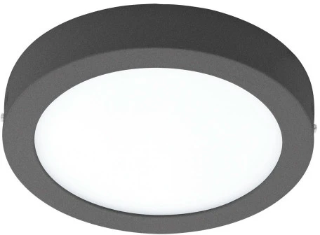 Потолочный светильник уличный Eglo Argolis-c 98173