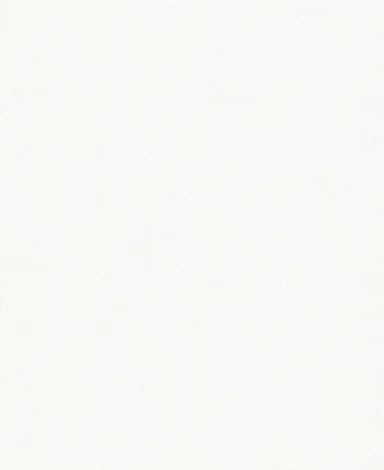 Обои виниловые Marburg Project 31831 10,05 x 0,53 м