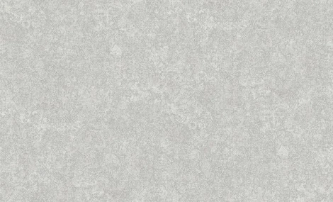 Обои виниловые Erismann Bolero 60158-02 10,05 x 1,06 м