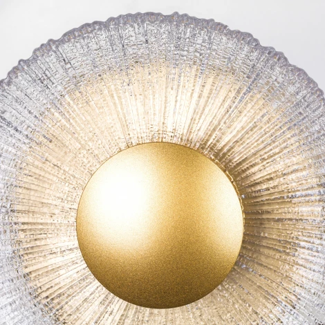 Настенный светильник Lightstar Erica 609602 (LED, 220V, круглые)