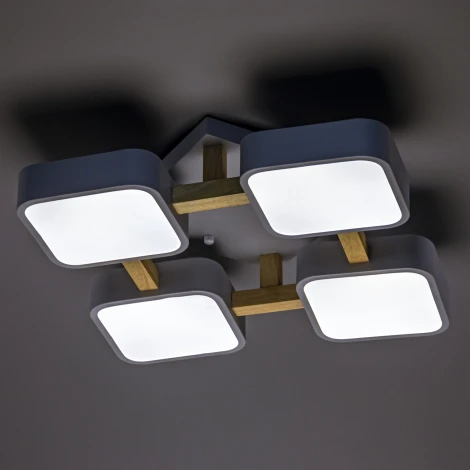 Потолочный светодиодный светильник Ritter Scandia 52073 3