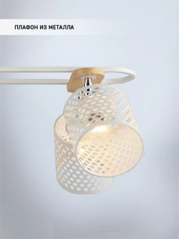 Потолочная люстра Wedo Light Sapri WD3607/6C-WT