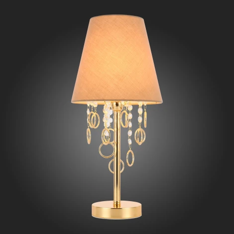 Интерьерная настольная лампа ST Luce Meddo SL1138.204.01