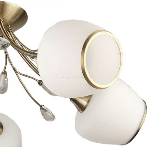 Collezioni Rumba TC-110-405