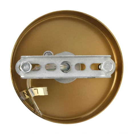 Подвесная люстра Lumion Chipsy 8320/8 латунь/белый, металл/стекло E14 8*40W 220V