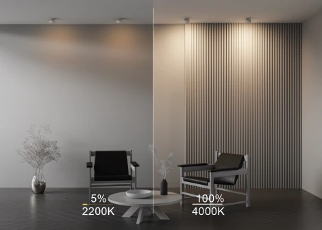 Встраиваемый светильник Maytoni Onda DL024-12W-DTW-W (LED, 220V)