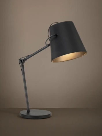 Настольная лампа Eglo Granadillos 39866