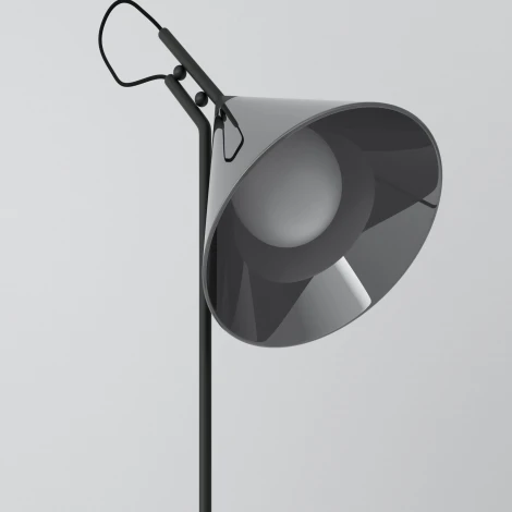 Настольная лампа Eurosvet Enigma 01186/1