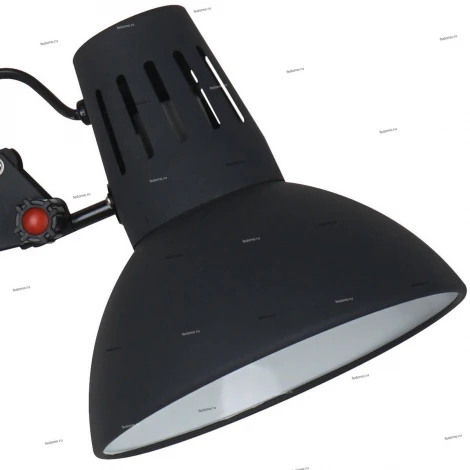 Офисная настольная лампа Arte Lamp Ragno A2043LT-1BK