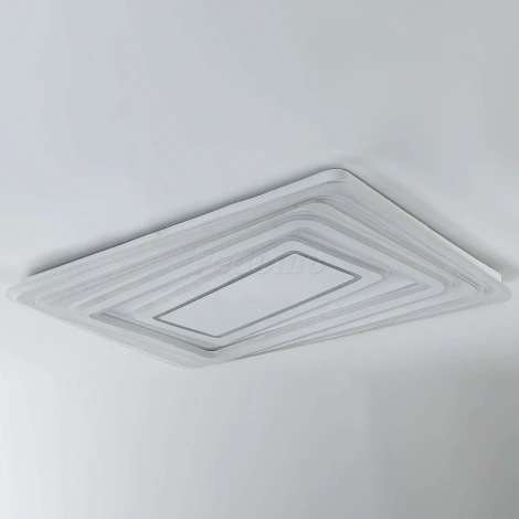 Потолочный светильник F-Promo Ledolution 2276-10C