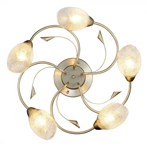 Максисвет 1-8793-5-YNBR E14