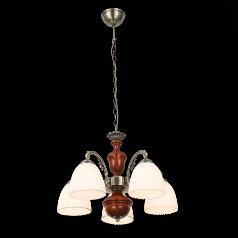 Подвесная люстра ST Luce Fiore 2 SL151.303.05