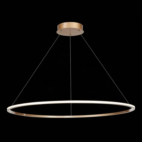 Подвесной светильник ST Luce St604 Out ST604.243.46 (LED, 220V, на тросе, кольцо)