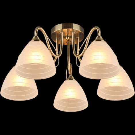 Потолочная люстра Reluce 03078-0.3-05 (220V)