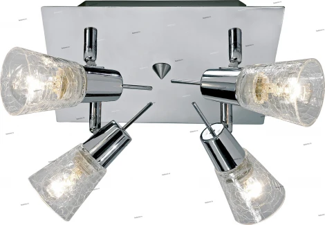 Спот Markslojd Darwin 147444-488021