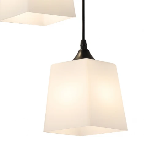 Подвесной светильник Escada Zen ES0000026 160003/2P E27*60W Black