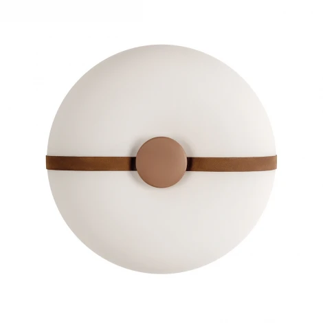 Потолочный светильник Loft It Bolina 10473