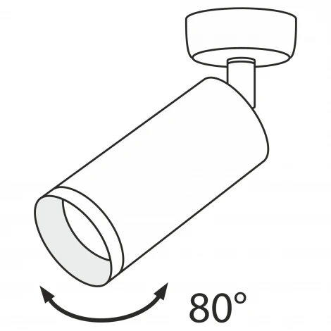 Потолочный светильник Focus GU10 1x50Вт Maytoni Technical C017CW-01MG (220V, круглые)