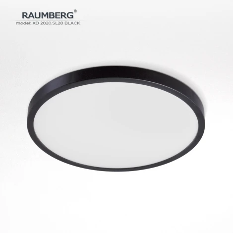 Потолочный светильник светодиодный Raumberg XD2020.SL28 Black