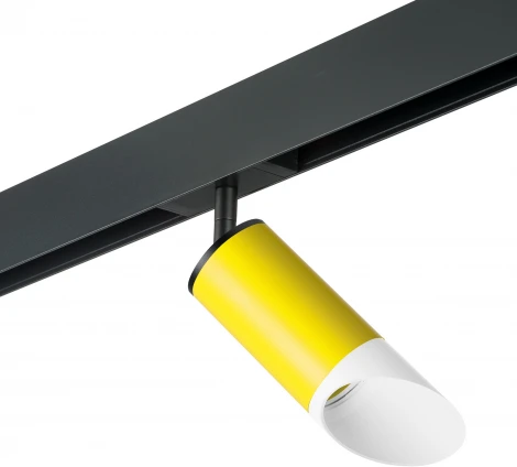 Трековый светильник однофазный 220V Lightstar Rullo PRO43336 (круглые)