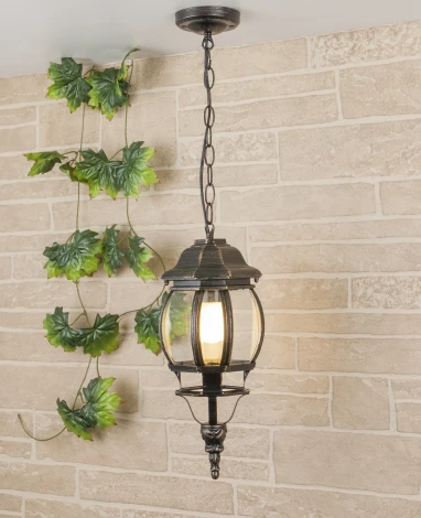 Уличный светильник подвесной Elektrostandard Farola GL 1001H черное золото