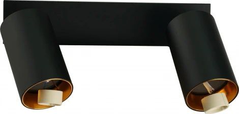 Потолочный светильник спот Brizzi Aras BR08086