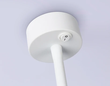 Настенно-потолочный светильник с выключателем Ambrella WALLERS FW2469 (220V)