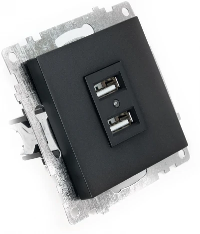 Розетка с USBх2 (черный) Stekker Катрин 39616