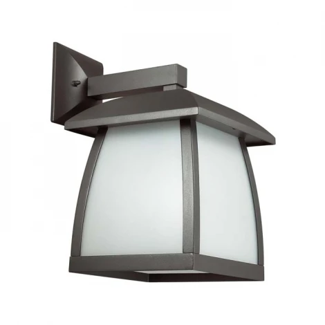 Настенный фонарь уличный Odeon Light Tako 4050/1W