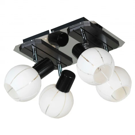 Спот Lussole Mara LSL-8901-04