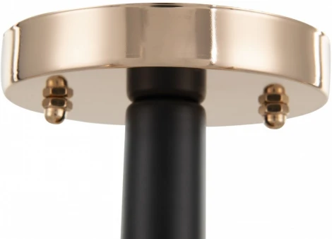 Потолочная люстра на штанге Arte Milano Napoli 322119/3 FG+BK (220V)